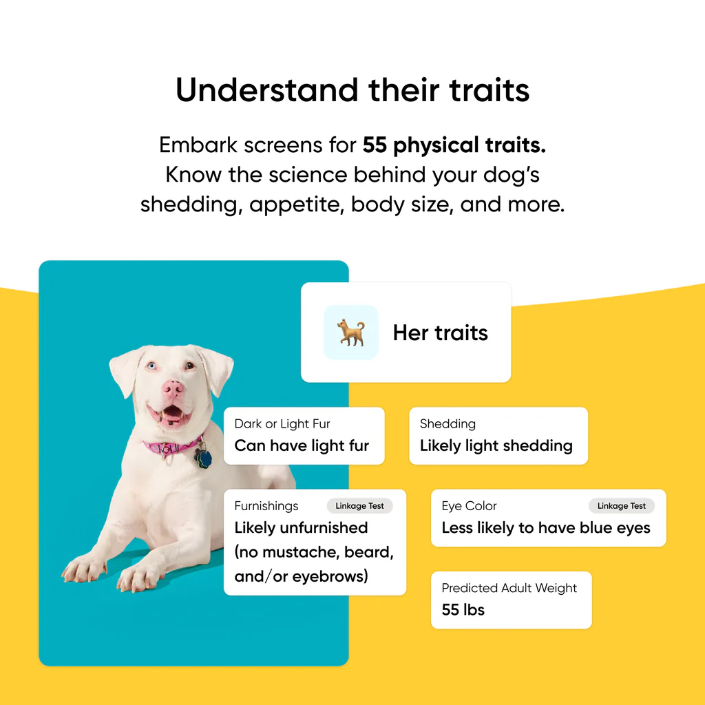 Embark Dog DNA Test