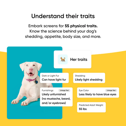 Embark Dog DNA Test