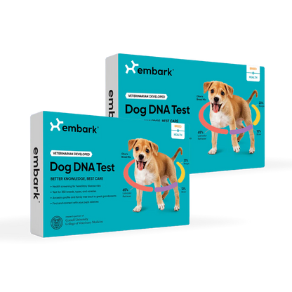 Embark Dog DNA Test